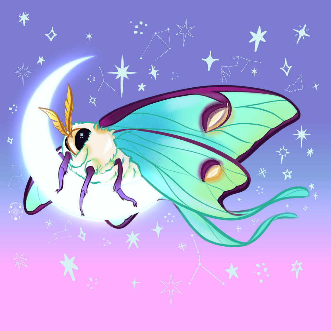 ✶ GOODNIGHT MOTH (TWILIGHT) ✶