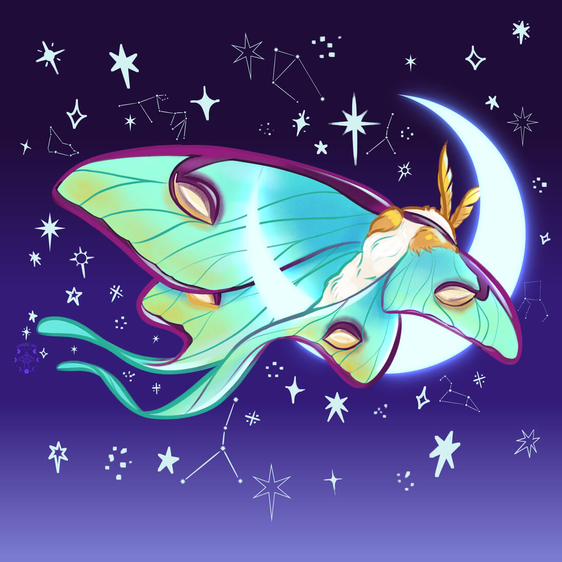✶ GOODNIGHT MOTH (MIDNIGHT) ✶