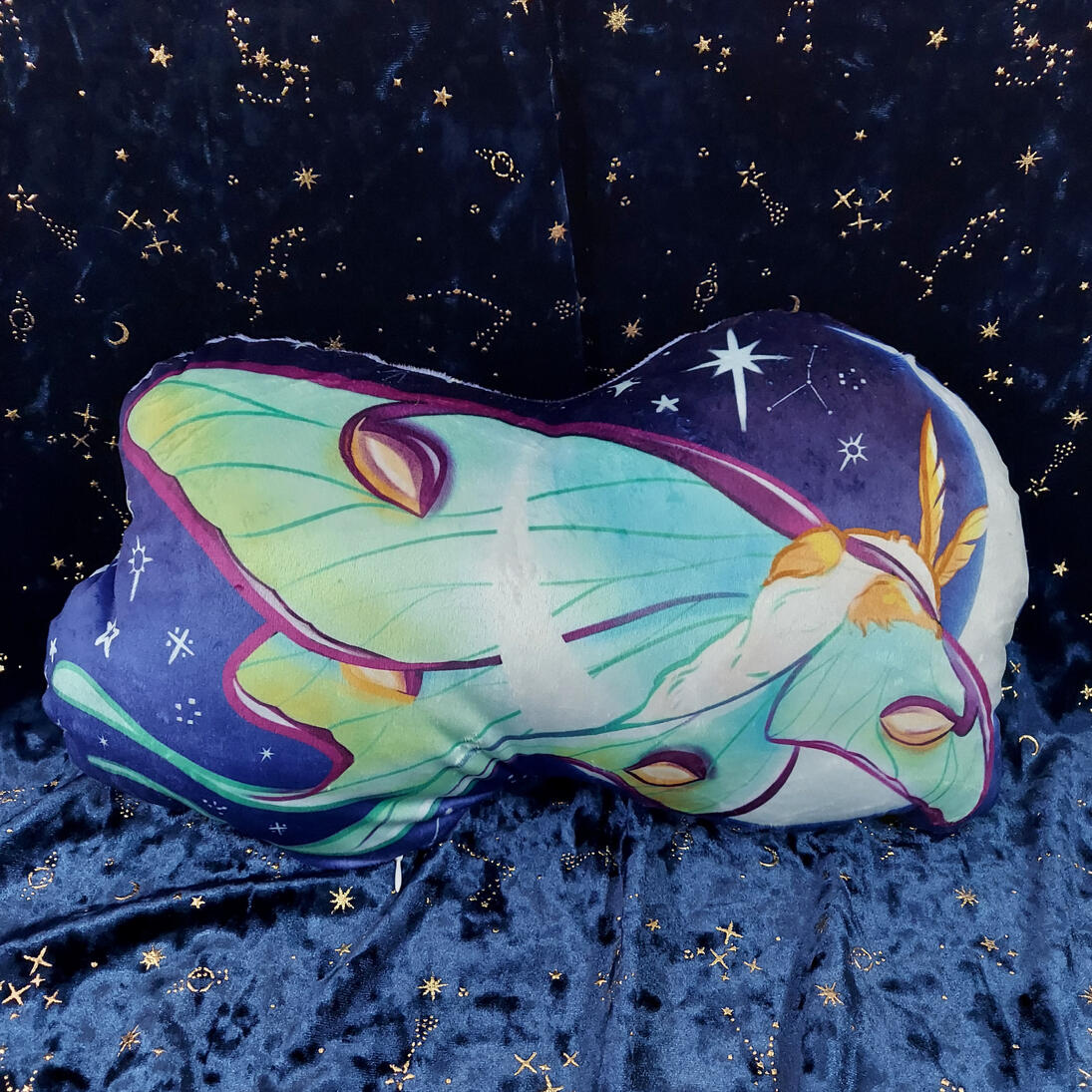 ✶ GOODNIGHT MOTH (MIDNIGHT) ✶