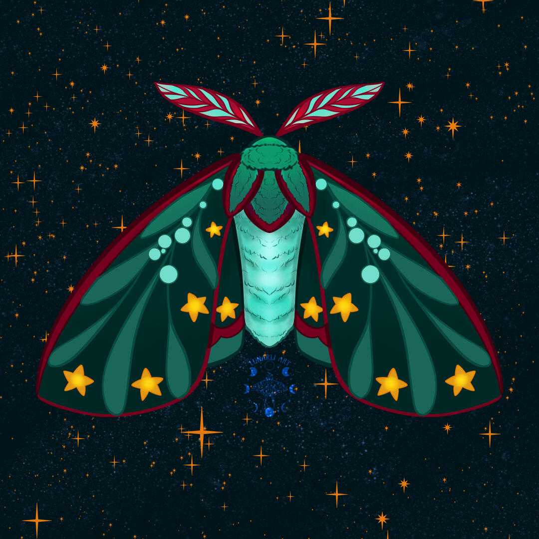 ✶ YULE MOTH (BACK) ✶
