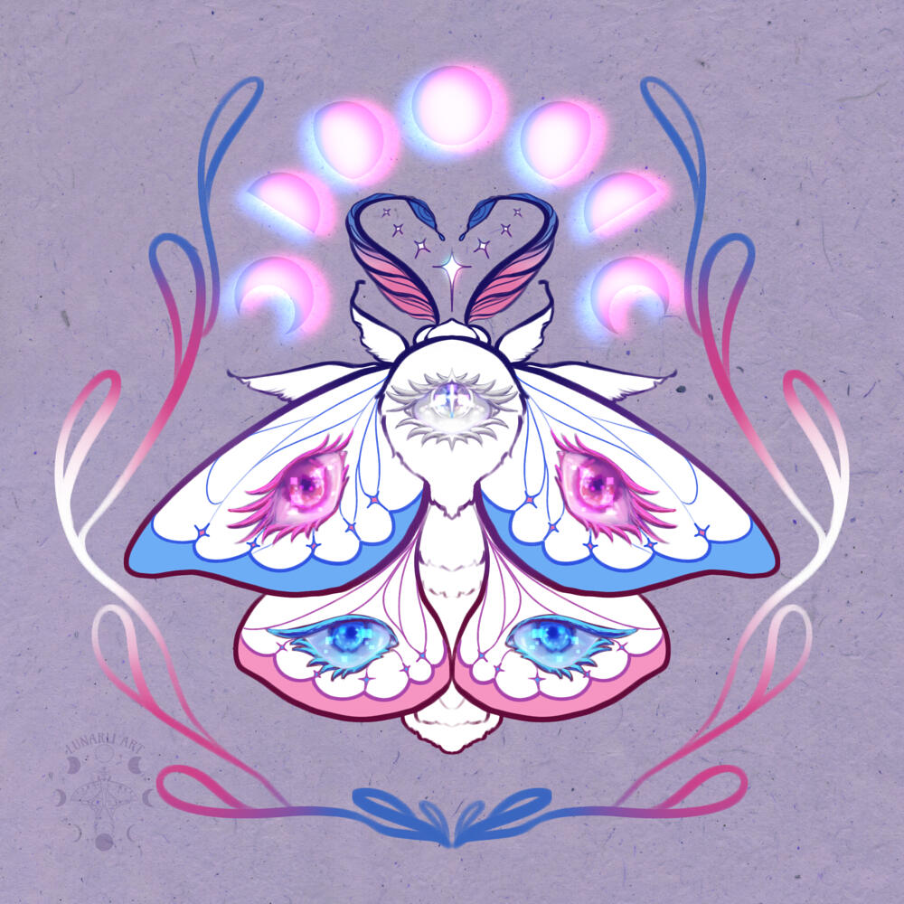 T R A N S ✶ V I S I B L E